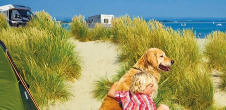 Boy and dog at beach
