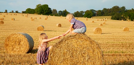 Children on hay
