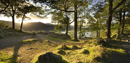 Find your next adventure – visit a wood…